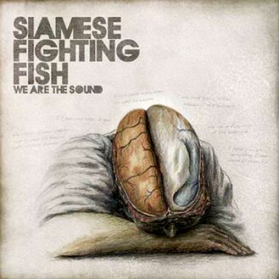 SIAMESE FIGHTING FISH – We Are The Sound
