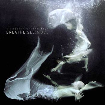 Siamese Fighting Fish - Breathe See Move - Album Cover - Mighty Music